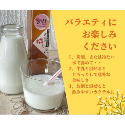 炭酸水や、カクテルで楽しめる梅の味【京青谷の梅しろっぷ】200ml×3本