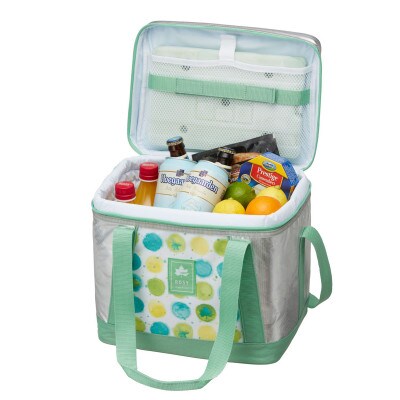 倍速凍結・氷点下パックL　ロゴスの大人気保冷剤はキャンプや防災にも活躍!　81660641×4個