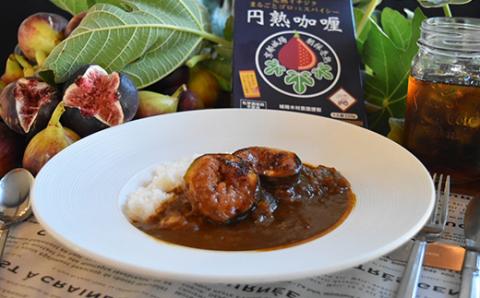 京都府城陽産　イチジクが丸ごと入った　スパイシーなカレー　5箱×1セット