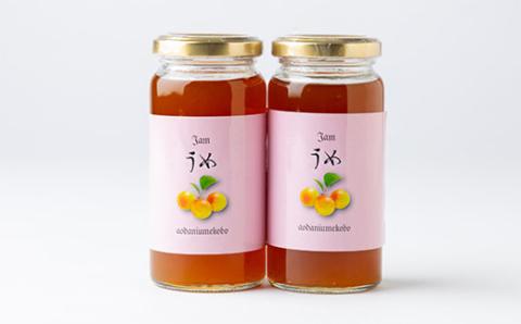 爽やかな朝のスタートに梅のピュアな香りと酸味の効いた【梅ジャム】　180g 2本セット