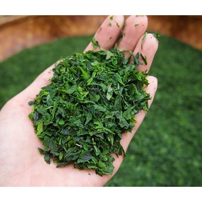 京抹茶 孫右ヱ門:三種のお茶飲みくらべセット　(煎茶・碾茶・フレーバーティー)