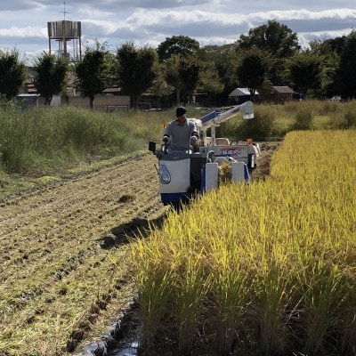 循環農法で育てたヒノヒカリ　白米5キロ　栽培期間中農薬・化学肥料不使用
