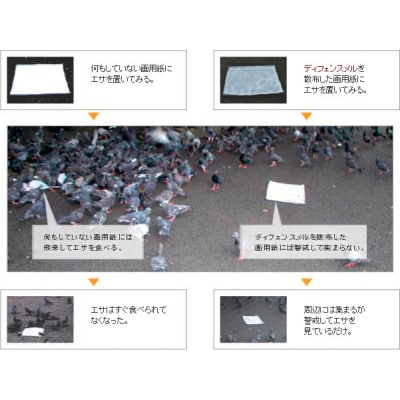 ハト・カラス用忌避剤　ディフェンスメル　固型タイプ