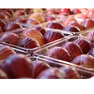 セミドライ甘熟成城陽いちじく丸ごとサイズ　2袋セット