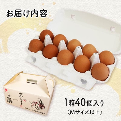 京たまご 茶乃月  40個【配送不可地域：離島】