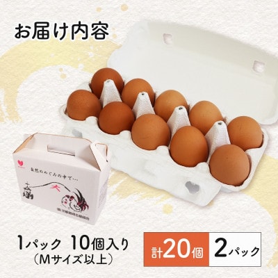 京たまご 茶乃月 20個【配送不可地域：離島】