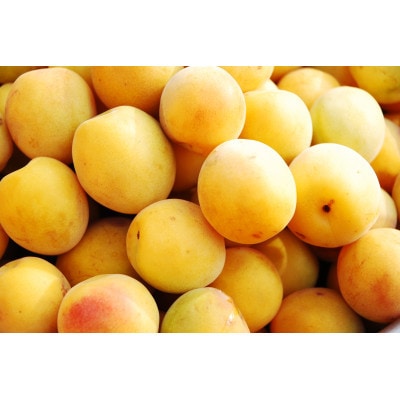 京都青谷梅わいん飲み比べセット【配送不可地域：離島】