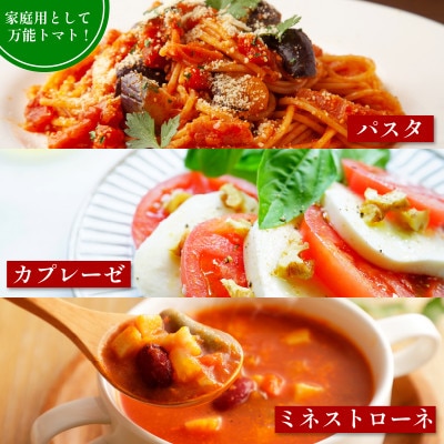 京都府産 トマト 約4kg(12～30個)産地直送【配送不可地域：離島】