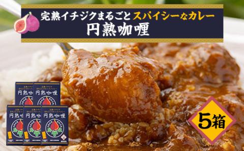京都府城陽産　イチジクが丸ごと入った　スパイシーなカレー　5箱×1セット