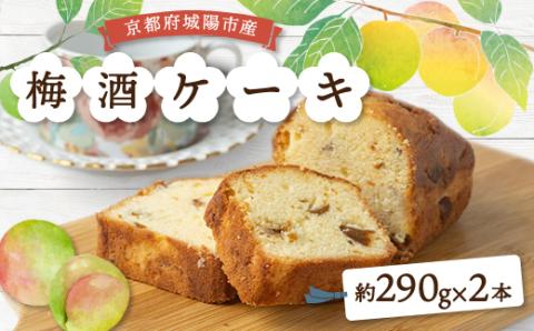 梅酒ケーキ城州白　2本【配送不可地域：離島】