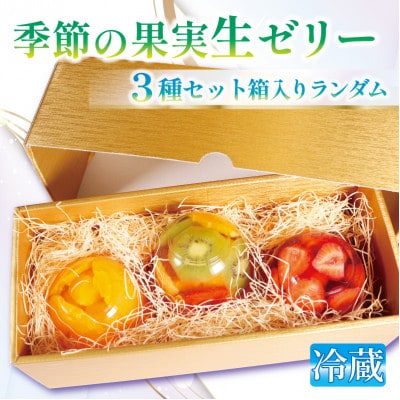 果実生ゼリー詰め合わせ ランダムセット 3種化粧箱入り 京都府城陽市 千馬Miyabi【冷蔵便】【配送不可地域：離島・北海道・沖縄県・東北・九州】