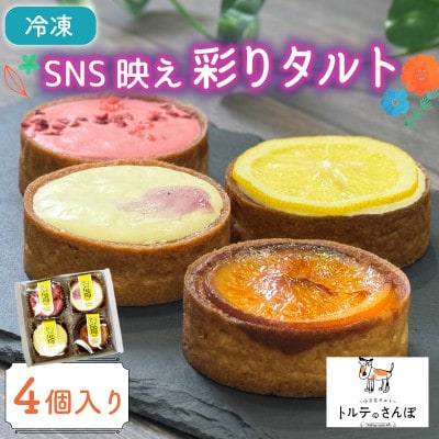 SNS映え彩りタルト 4個入り トルテのさんぽ【配送不可地域：離島】