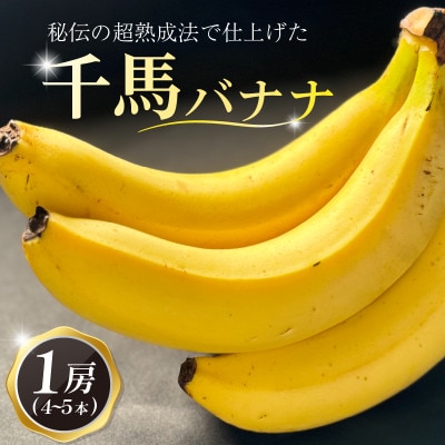 超熟成法仕立て 千馬バナナ 1房 4～5本入り