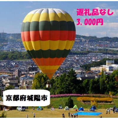 【返礼品なし】ふるさと城陽応援寄附金 3,000円