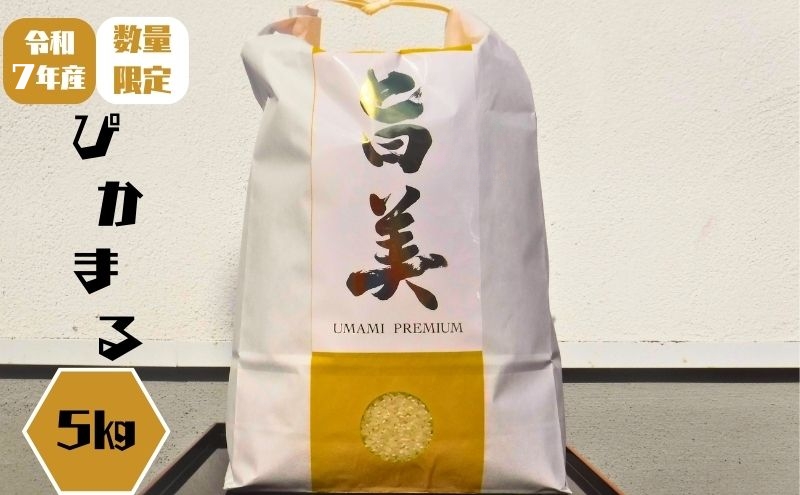 新米 令和7年産 ぴかまる お米番付2021優秀賞受賞 米 お米 5kg 五十棲 京都 白米 ライス こめ コメ おこめ 精米 ごはん お弁当 おにぎり 主食 炭水化物 京都府産 向日市産 国産 日本産 京都府向日市