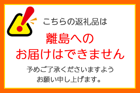 朝掘り 竹かご12個入【醤油が香ばしい竹の子饅頭】[1644]