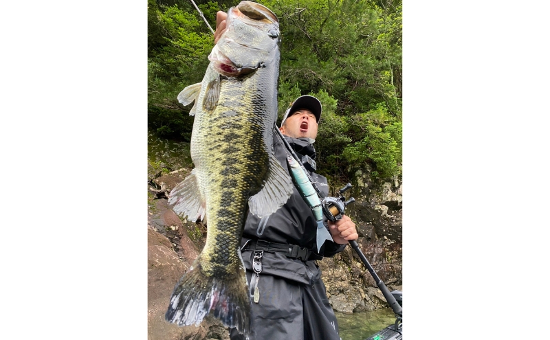 BALAM245 #14 バラム オンドリャーチャート〈マドネス、ビックベイト、スイムベイト、ジャイアントベイト、釣り、バス釣り、ルアー、釣り具、スポーツ〉