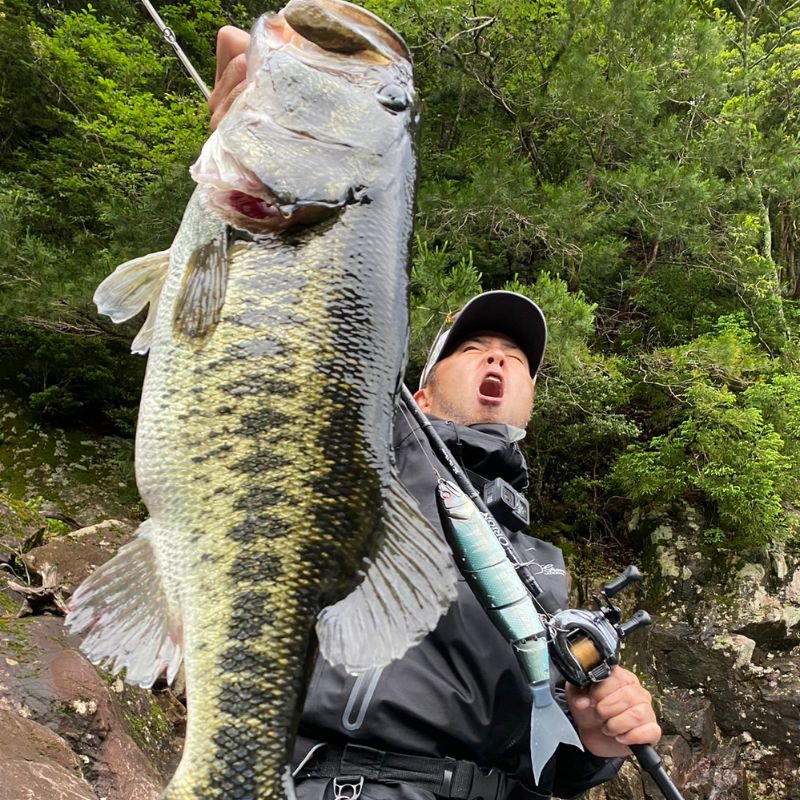 BALAM245RPS re#02 バラム リアルハス