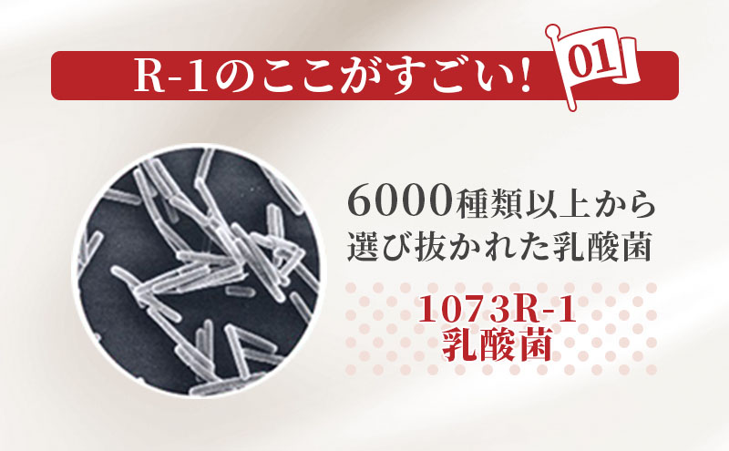 R1 定期便 3ヶ月 R-1 プロビオヨーグルト 低糖 24本 低カロリ