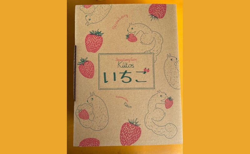 【先行予約　いちご】大粒いちご 果物 フルーツ デザート おやつ 旬の果物 旬のフルーツ ストロベリー 国産 日本産