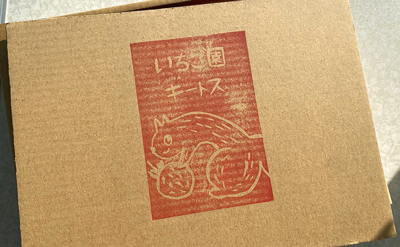 【先行予約　いちご】中粒いちご 果物 フルーツ デザート おやつ 旬の果物 旬のフルーツ ストロベリー 国産 日本産