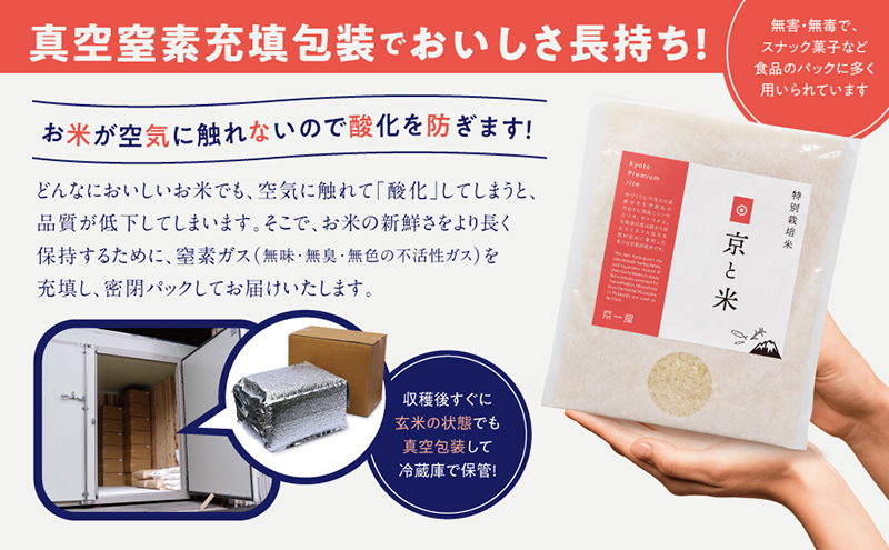 京都府京田辺市産 京と米 ヒノヒカリ 8kg (2kg×4袋) R7年度産 お米 米 こめ コメ 精米 白米 ごはん ご飯 弁当 おにぎり 真空 長期保存 防災 京田辺市 京都府 kt2026