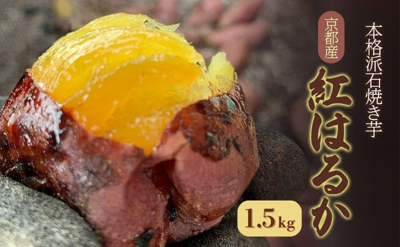 本格派石焼き芋[ 焼き芋 紅はるか サツマイモ さつまいも 耕作期間中 農薬不使用 ]