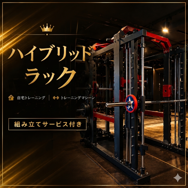 ハイブリッドラック 本体セット 組み立て設置込み キング