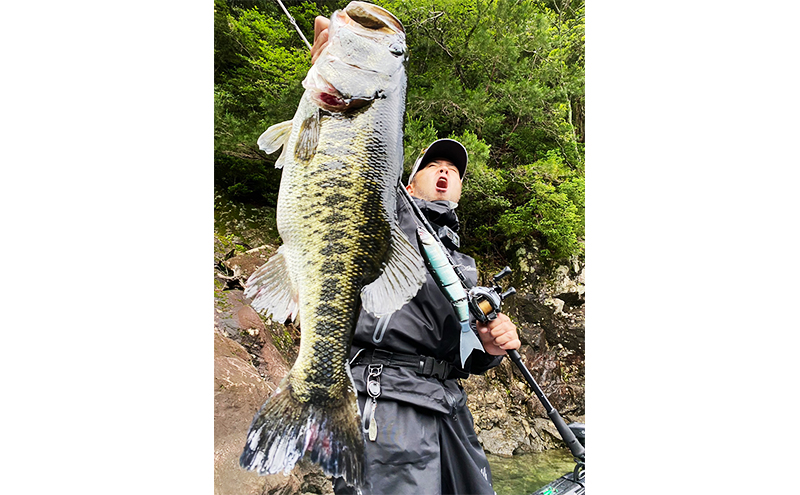 シリテンバイブ53 勝負シリーズSY#05 銀粉小沼アユ〈釣り、ルアー、釣り具、スポーツ〉雑貨 日用品