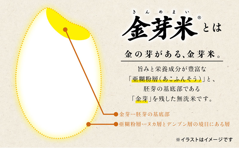 【先行予約】京都山城産 京と米 金芽米 5kg R7年度産 お米 米 ごはん おにぎり お弁当 健康 玄米の栄養 無洗米 糖質 カロリーオフ 時短 東洋ライス 京都府 京田辺市 kt2026