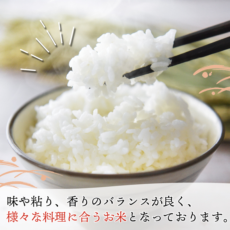 京田辺市産 ヒノヒカリ 10kg R7年度産 お米 米 こめ コメ 精米 白米 ごはん ご飯 弁当 おにぎり 防災 京田辺市 京都府