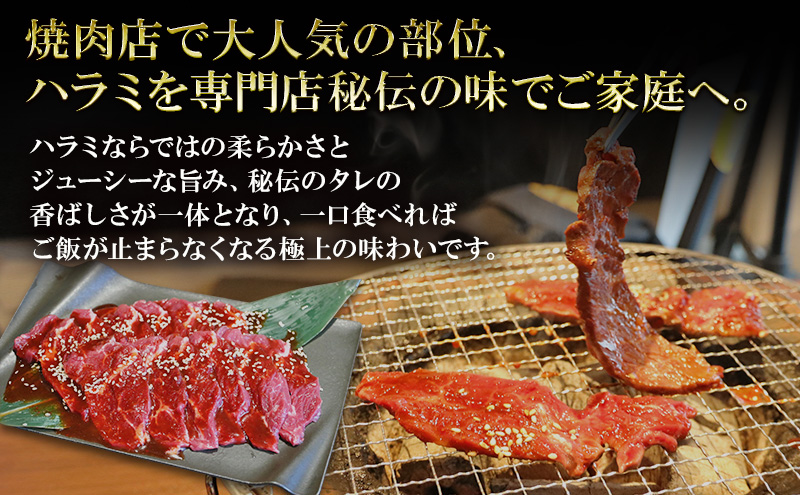 アメリカ産タレ漬け牛ハラミ　10～15人前 300g×5 牛肉 焼肉 焼き肉 アウトドア BBQ