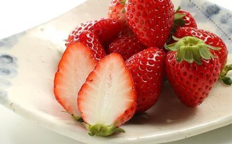 【先行予約／数量限定】京都丹後産 完熟いちご（かおりの） 4パック（2026年3月中旬～発送）　AM00668