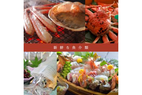 京都府京丹後市ANAトラベラーズダイナミックパッケージ クーポン15,000点分　AX00008