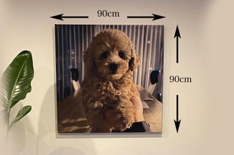 【インテリア雑貨】思い出の写真で作る丹後ちりめん特大ファブリックパネル　サイズ：約90cm×90cm　DZ00013