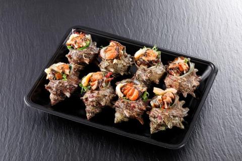 お刺身専用！日本海荒波育ち京丹後産お刺身さざえ8個入　HK00269