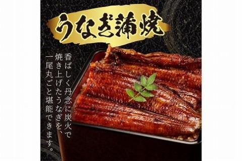 うなぎの蒲焼き2~3人前(1尾)　AN00093