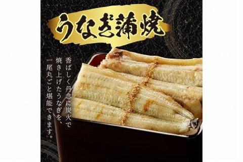 うなぎの白焼き2~3人前(1尾)　AN00094