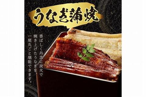 うなぎの食べ比べセット2~3人前【蒲焼き・白焼きそれぞれ1/2尾】全部で1尾　AN00095