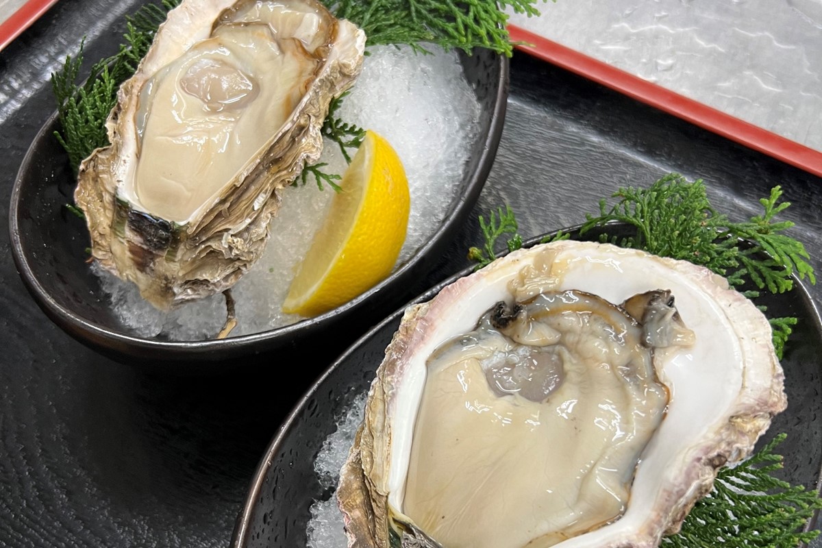 【先行予約】京都・京丹後産　鮮度抜群！濃厚肉厚岩牡蠣（生食用）約5kg（約10個）（殻付き・かんかん入り・冷蔵・ナイフ付き）　AH00018