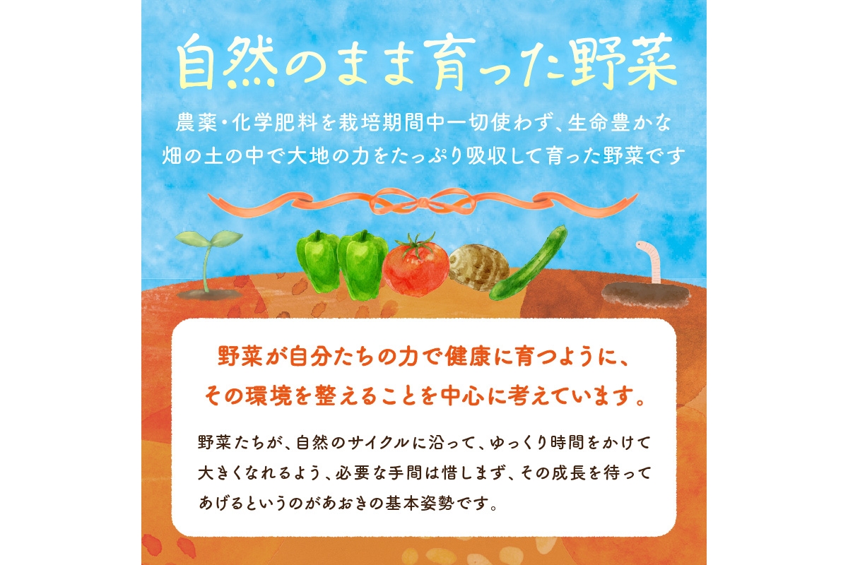 【年4回定期便】春夏秋冬自然栽培野菜セット(年4回)4～5人用　AB00002
