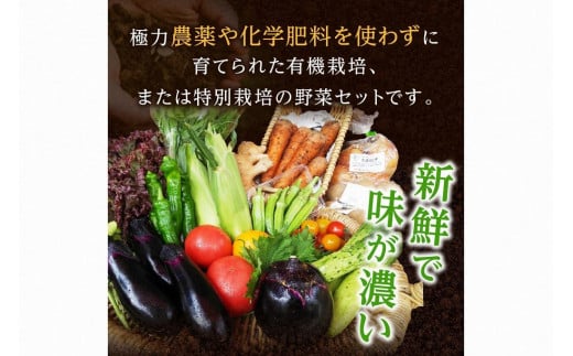 【京都・京丹後】有機野菜 定期便 4回【アスカ有機農園】旬の京丹後野菜セットS（栽培期間中　農薬・化学肥料不使用）＜京都 オーガニック アクション加盟＞京野菜セット・野菜 詰め合わせ・野菜定期便・有機栽培定期・オーガニック野菜・定期便4カ月　AY00012