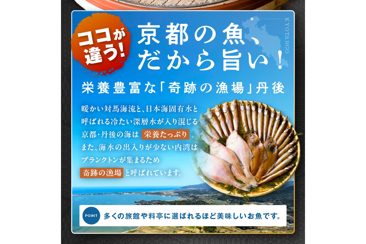 【最短2～5営業日以内に発送】京丹後の地元魚屋が作ったお任せ干物セット（冷凍）　TB00045SH
