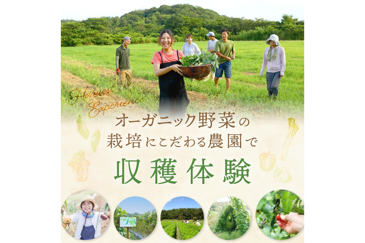 オーガニックファームでのんびり過ごそう！収穫体験&お土産付き(2名様分)　BR00017