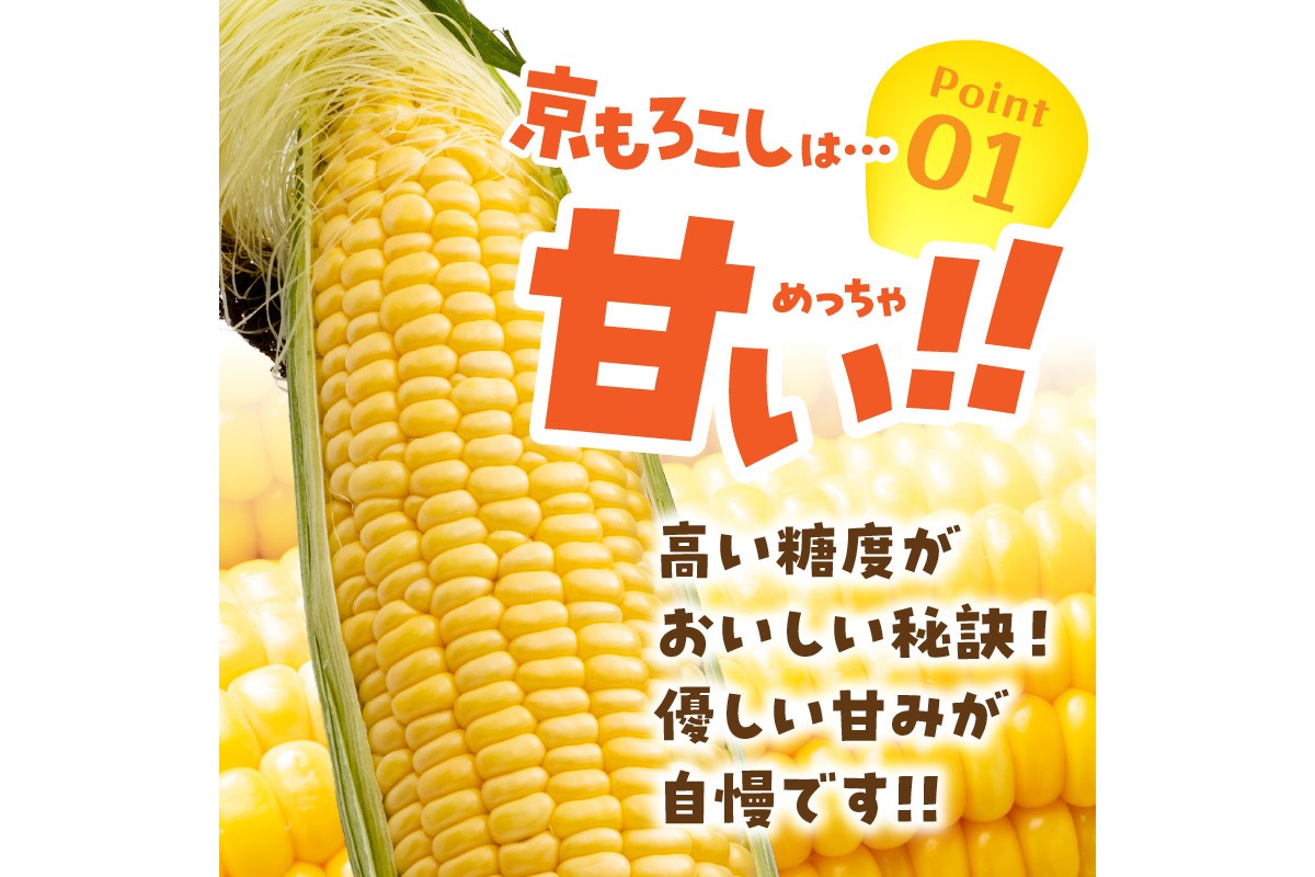 ＜てんとうむしばたけ＞有機とうもろこし5本　有機野菜 甘い 野菜 ふるさと納税 とうもろこし 期間限定 とうもろこしごはん かき揚げ 有機 オーガニック 産地直送 旬野菜 旬 コーン バター ペッパーランチ シャキシャキ 弾ける 丸ごと かぶりつき　BR00029
