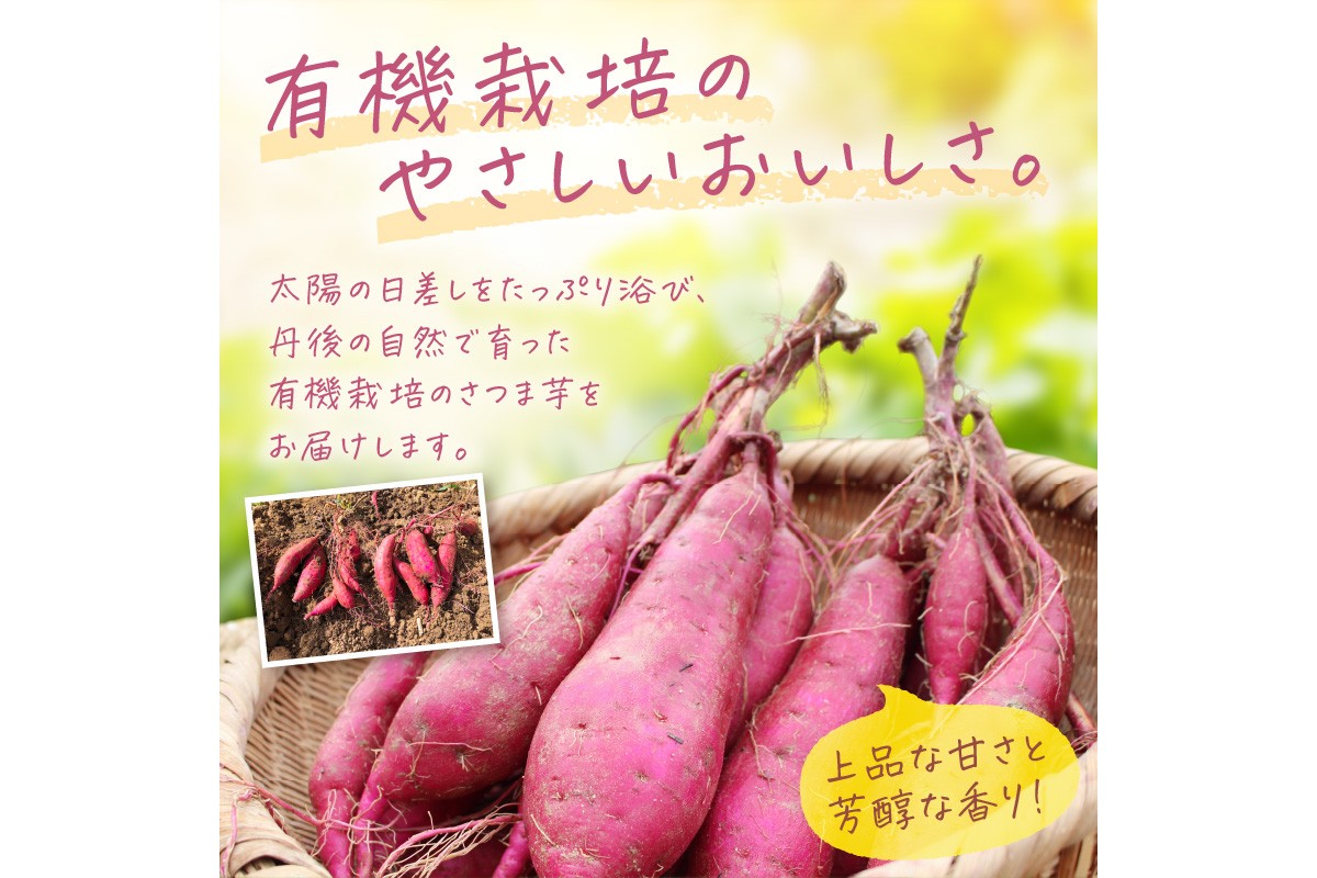 ＜てんとうむしばたけ＞有機さつまいも(紅はるか)5kg　有機野菜 さつま芋 サツマイモ 薩摩芋 ふるさと納税 野菜 イモ 期間限定 紅はるか 甘い 貯蔵 熟成 オーガニック ねっとり あまい焼き芋 国産 ほくほく 土付き 旬 秋 京都産　BR00074