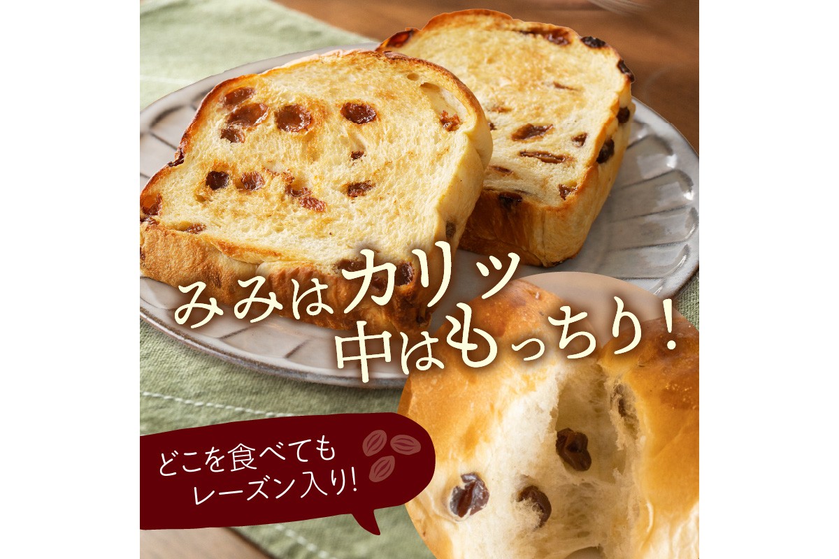 京都丹後　パンドミレーズン　3斤（5枚切り15枚）　BT00020