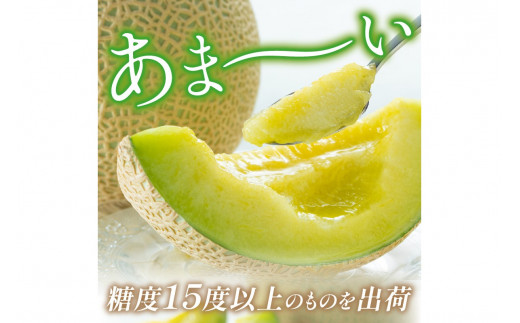 【先行予約／数量限定200】砂姫メロン2玉！大玉2L以上！女性に人気！（2026年6月下旬～発送）　JK00028