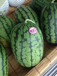 【先行予約】小玉スイカ 姫まくら 1玉（1.5kg以上）（2026年7月上旬～発送）　BF00007