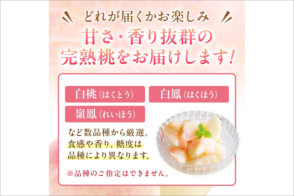 【先行予約】京丹後産 桃 2kg（6～12玉）（2026年7月下旬～発送）　BF00005